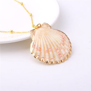 Natural Conch Shell Necklace